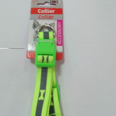 Collier fluo pour chien