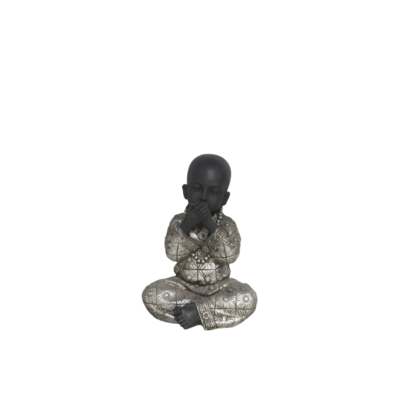 Bouddha Sagesse