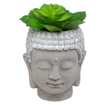 Bouddha Plante