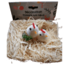 Poussins sur Paille