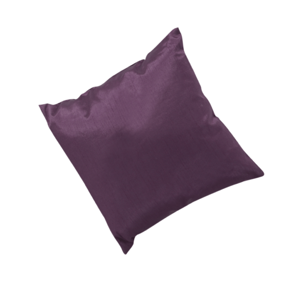Coussin Prune