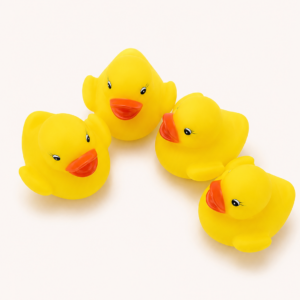 Canards x 4